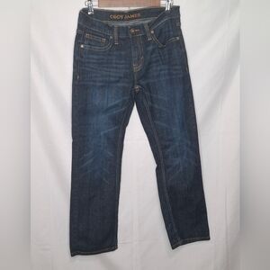 Cody James Mens Jeans Bootcut Blue Wash Denim Size 30 X 30
